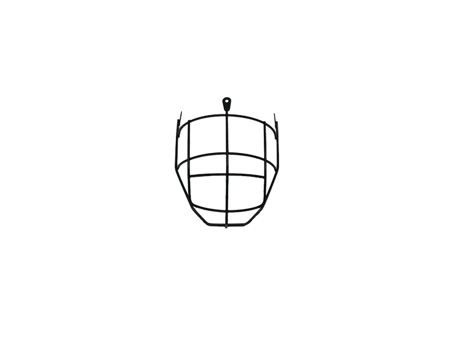 DPP- Facemask